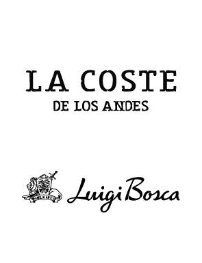 Asset 15